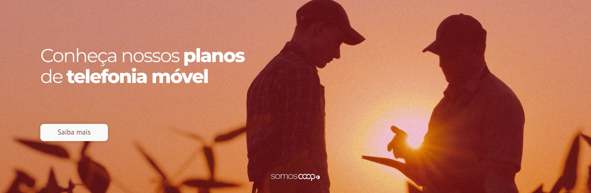 Planos de Telefonia