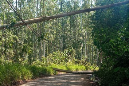 Colisões em postes e abate de árvores sobre as redes continuam acontecendo na área da Creluz