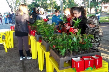 Creluz celebra o dia do meio ambiente