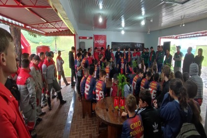 Creluz celebra o Dia Internacional do Cooperativismo com plantio de pinheiros no Horto Florestal