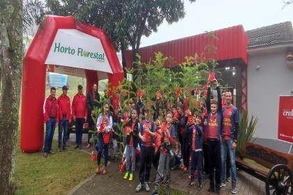 Creluz celebra o Dia Internacional do Cooperativismo com plantio de pinheiros no Horto Florestal