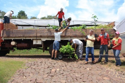 Creluz destina mudas para reflorestamento no Rio Guarita