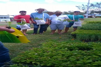 Creluz e Emater expõem parceria na Expodireto