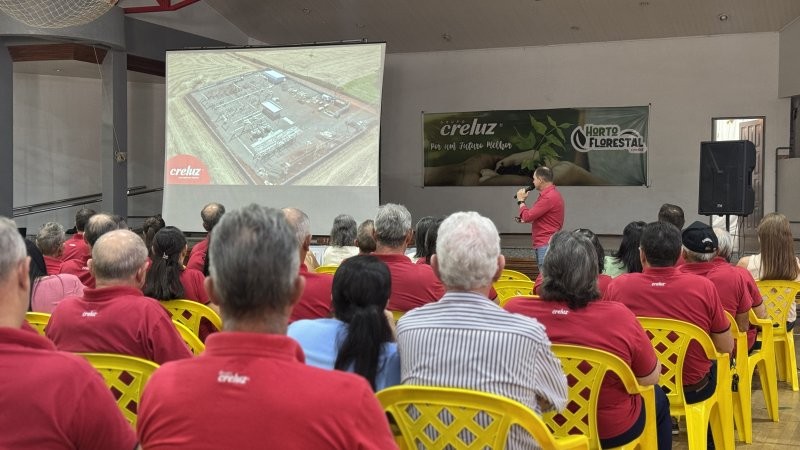 Creluz encerra 2025 fortalecendo a governança cooperativa