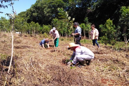 Creluz integra projeto de proteção climática entre Brasil e Alemanha