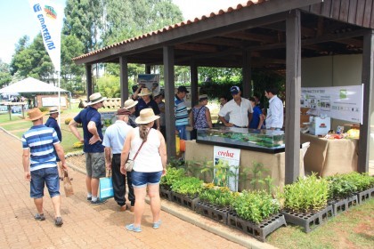 Creluz marca presença na Expodireto Cotrijal