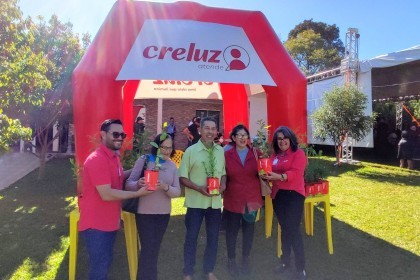 Creluz participa da abertura estadual da colheita da Erva-mate em Novo Barreiro