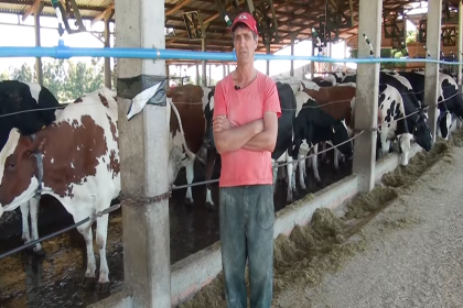 Energia da Creluz alimenta sistema robotizado de ordenha na Fazenda Busanello