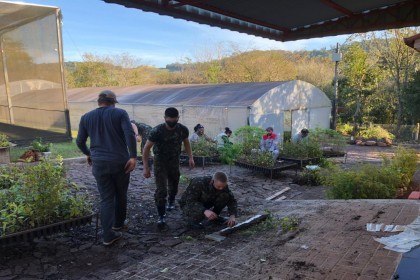 Exército Brasileiro retira mudas no Horto Florestal da Creluz