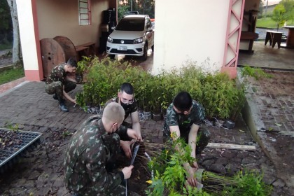 Exército Brasileiro retira mudas no Horto Florestal da Creluz