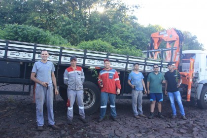 Grupo Creluz fornece mudas para Usina Tambaú