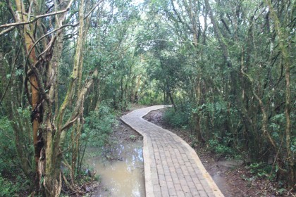 Grupo Creluz inaugura trilha ecológica no Horto Florestal