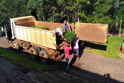 Horto da Creluz destina nove mil mudas para Dois Irmãos das Missões