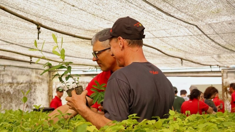 Horto Florestal da Creluz completa 20 anos com 1,5 milhão de mudas distribuídas