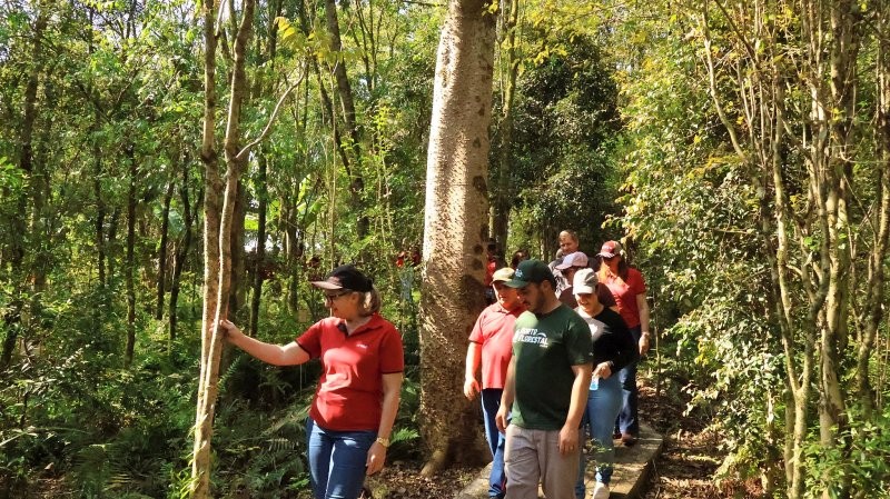 Horto Florestal da Creluz completa 20 anos com 1,5 milhão de mudas distribuídas
