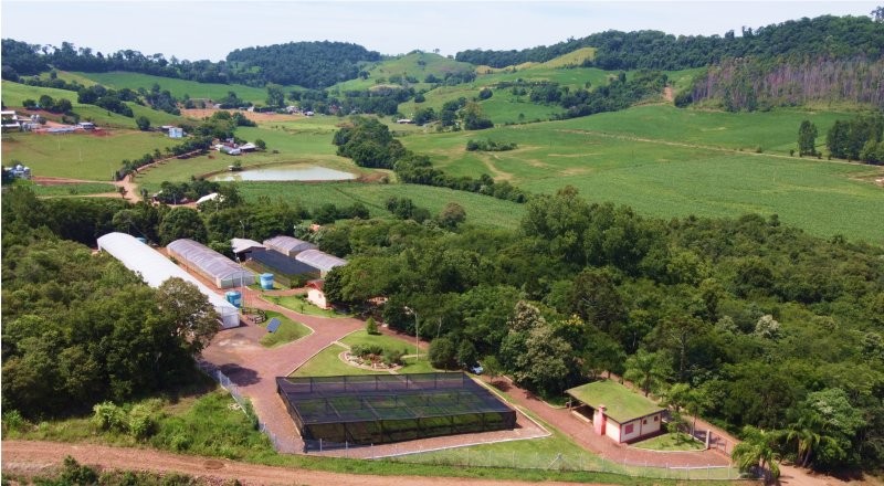 Horto Florestal da Creluz completa 20 anos com 1,5 milhão de mudas distribuídas