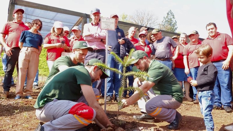 Horto Florestal da Creluz completa 20 anos com 1,5 milhão de mudas distribuídas
