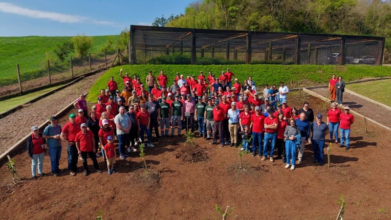 Horto Florestal da Creluz completa 20 anos com 1,5 milhão de mudas distribuídas