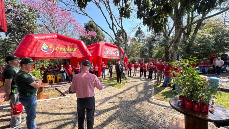 Horto Florestal da Creluz completa 20 anos com 1,5 milhão de mudas distribuídas