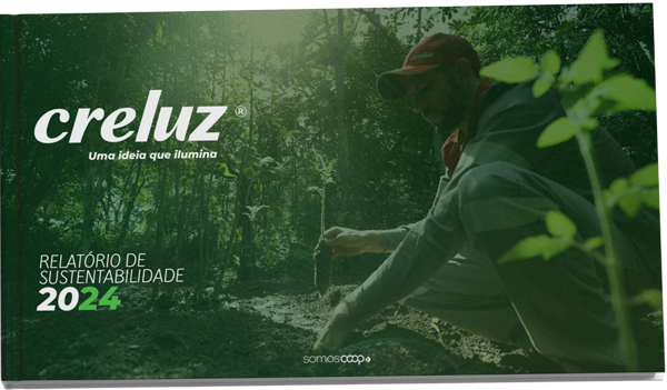 Relatório de Sustentabilidade Creluz 2024