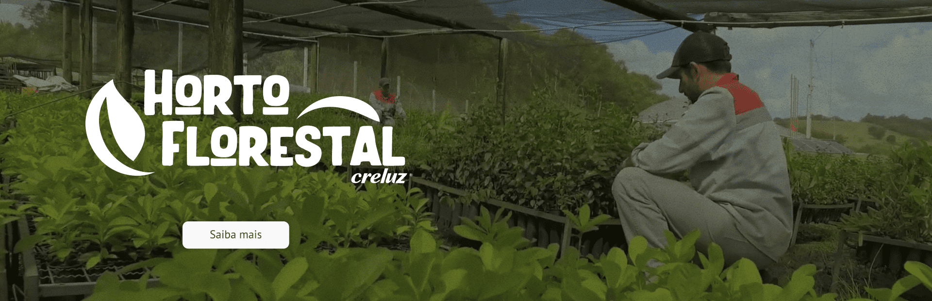 Horto Florestal