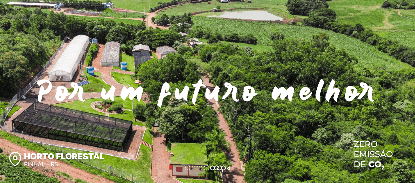 Horto Florestal