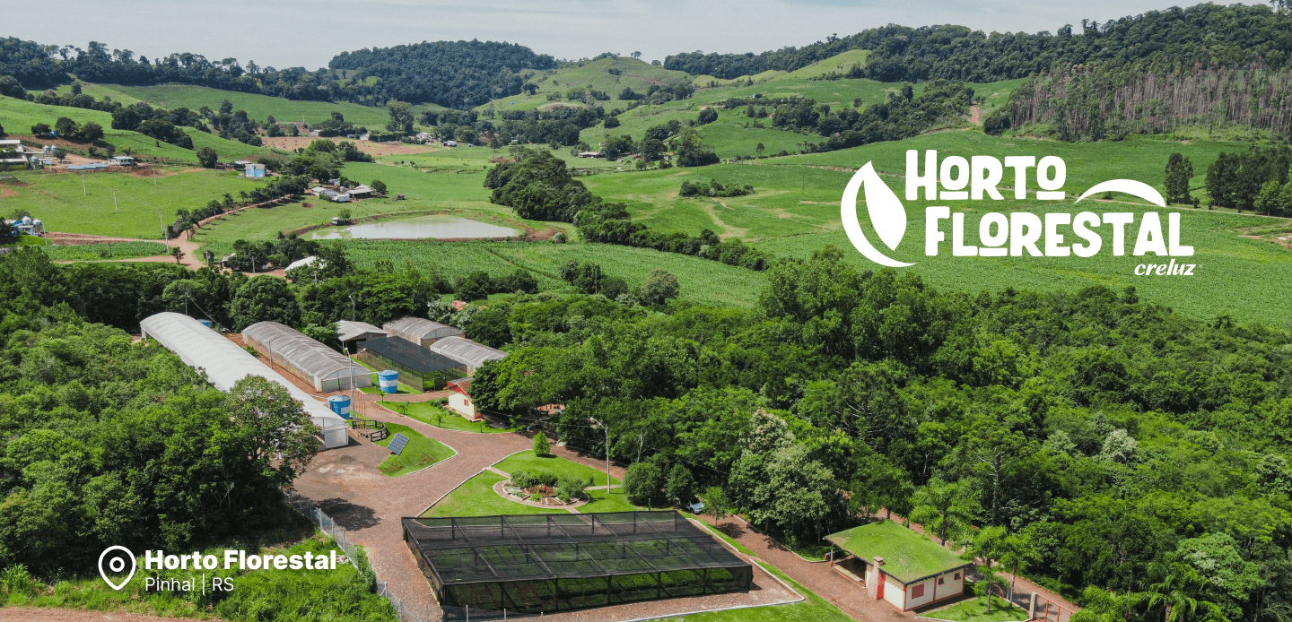 Horto FLorestal